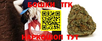 тгк Шебекино