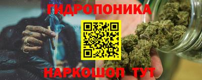 ECSTASY Шелехов