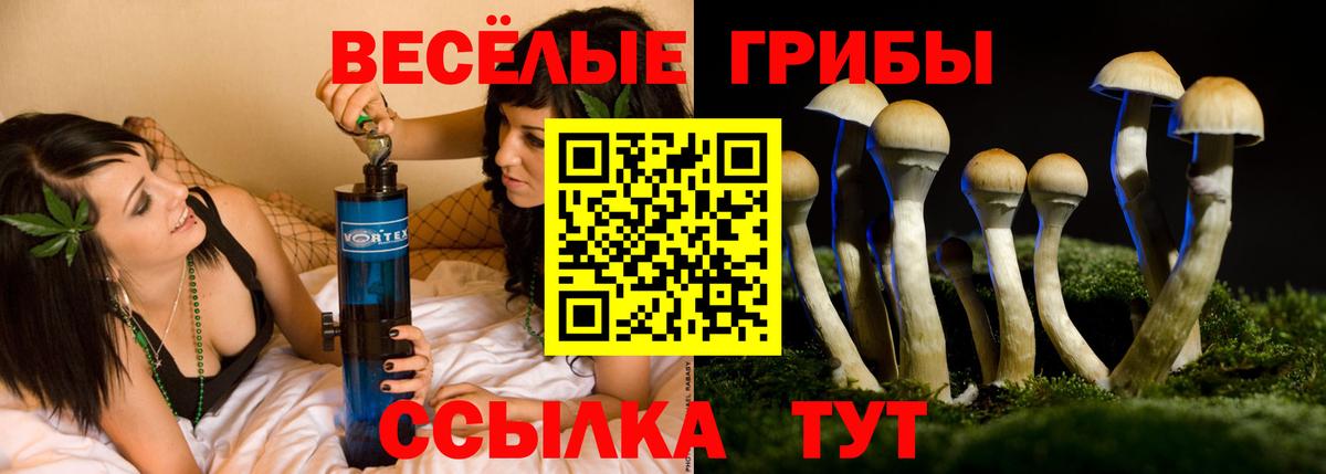 Галлюциногенные грибы мухоморы  Вход с VPN  цена   Москва 